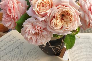 Warszawiacy pokochali kwiaty. Kwietny piknik już w niedzielę 