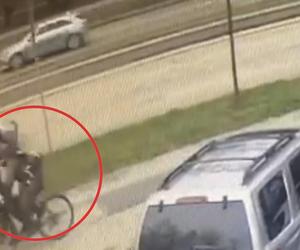 Podjeżdżał na rowerze i atakował znienacka