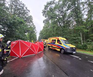 Śmiertelny wypadek na DK 69 pod Kępnem. Nie żyje dwóch kierowców 