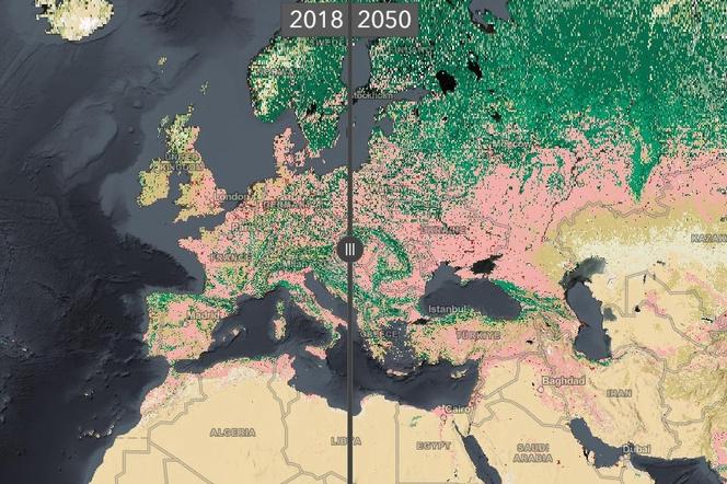 Tak będzie wyglądał świat w 2050 roku. Mapa zdradza, co nas czeka!