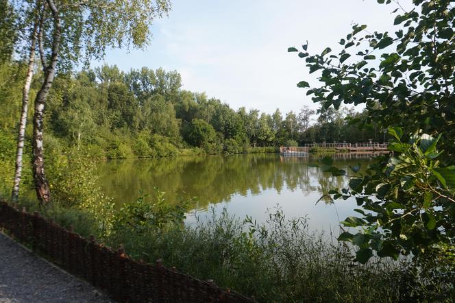 Park Leśny Tetmajera w Bronowicach