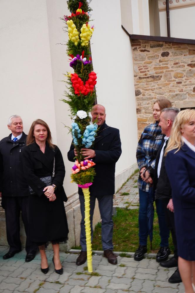 Rekordowe palmy i kiermasz świąteczny w Krynkach