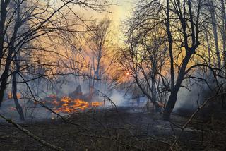 Ugasili pożar w Czarnobylu