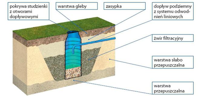 Jak zagospodarować wodę deszczową na działce?
