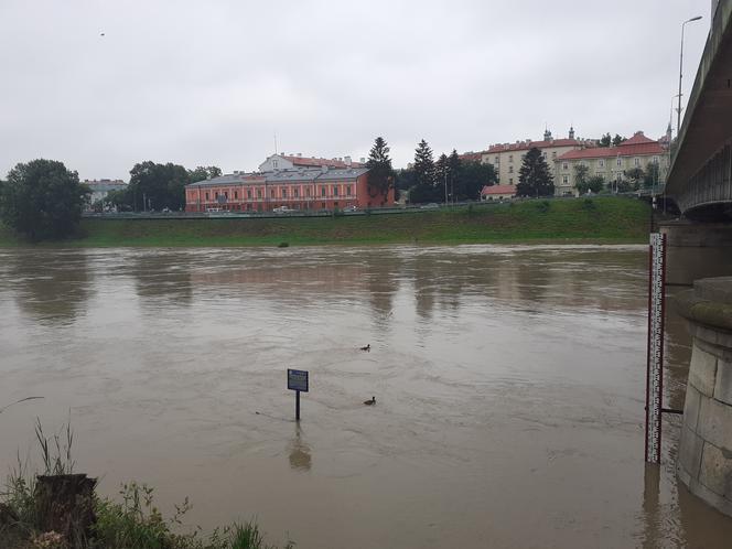 Podwyższony stan wody na Sanie w Przemyślu