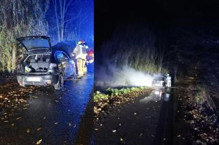 Pożar auta, obok mężczyzna z raną kłutą szyi! Co się stało pod Otmuchowem?