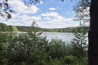 To jezioro w Olsztynie ma niezwykle czystą wodę. Jest kilka dzikich plaż, które świecą pustkami