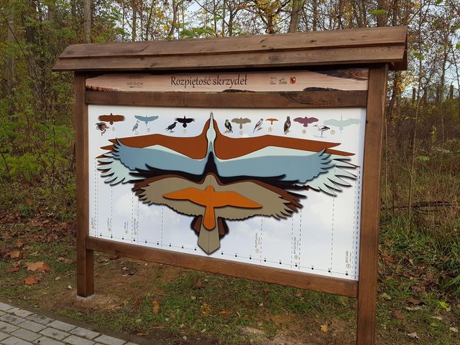 ​Statek dla dzieci w Parku Tysiąclecia w Lesznie odzyska dawny blask. Wymienią stare elementy placu zabaw, dołożą nowe