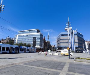 Katowice jak patelnia. Obowiązuje ruch cieniostronny. Nawet gołębie chowają się w cieniu