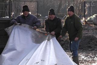 Rolnicy. Podlasie. Andrzej z Plutycz robi rewolucję. Jest jedno ale. Bez tego pieniądze pójdą w błoto [ZDJĘCIA, WIDEO]