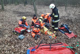 Mężczyzna przygnieciony przez drzewo