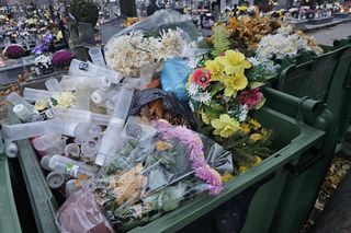 Kwiaty, które jako pierwsze trzeba wyrzucić z cmentarzy.