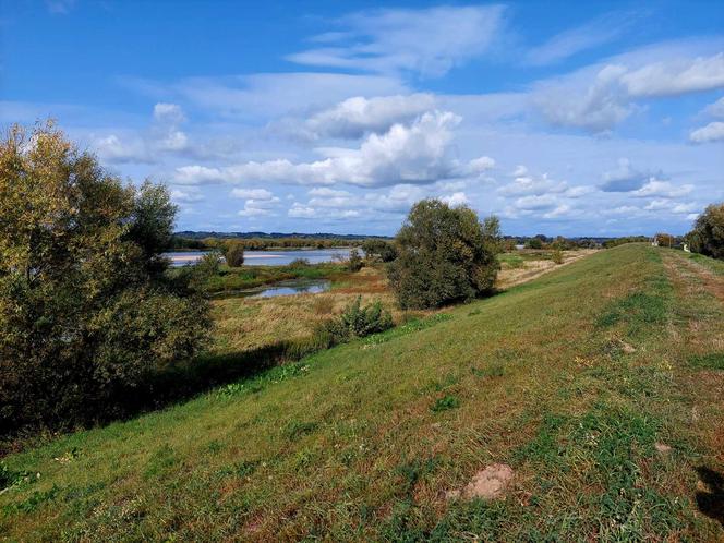 Stąd Hitler patrzył na przeprawę wojsk przez Wisłe. To pół godziny drogi z Bydgoszczy [ZDJĘCIA]