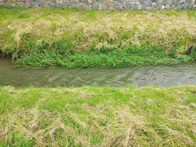Sytuacja hydrologiczna w Tarnowie. Czy grozi nam powódź?