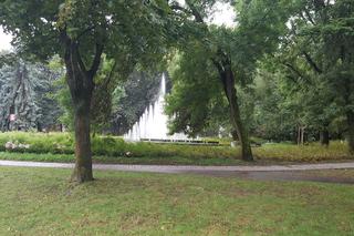 Rzeszów walczy ze szczurami w parku