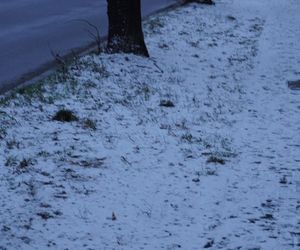 Śnieg spadł w Poznaniu