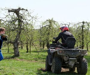 M jak miłość odc. 1873. Dominik Walat (Bartosz Surówka), Kacper (Bartosz Ziewiec)