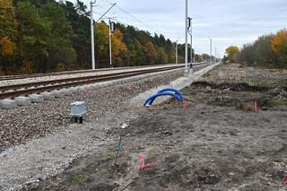 Mieszkańcy wygrali walkę z PKP. Kolejarze zaczęli budowę przejść przez tory