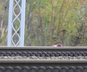 Śmiertelne potrącenie pod Radomiem. Wstrzymany ruch kolejowy i duże opóźnienia pociągów