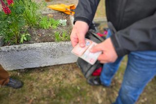 Sprzątanie Jeziora Dominickiego 