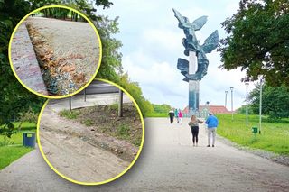 W największym parku w Szczecinie dzieje się coś niepokojącego. Świeżo wyremontowana aleja spływa z każdym kolejnym deszczem