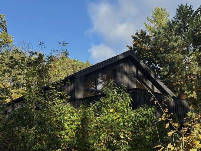 Dom w stylu nadwiślańskiej architektur