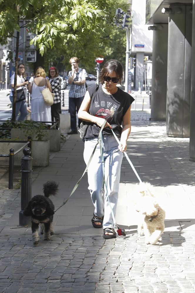 Te psy skradły serca gwiazd! 