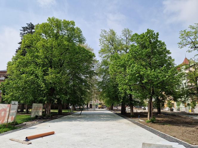Tak teraz wygląda plac Wolności w Bydgoszczy. Powrót kwiaciarek ponownie opóźniony