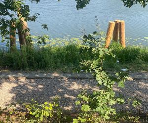 Park Żerański w Warszawie