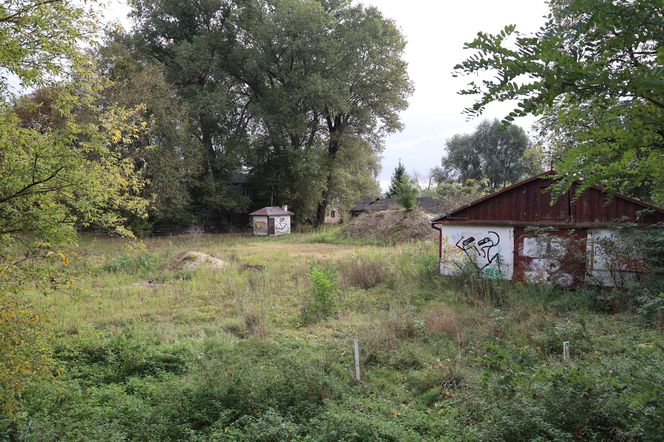 Jesienna odsłona terenów nad Bystrzycą w Lublinie. Tak się prezentuje w październiku