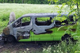 Niebezpieczne zdarzenie pod Olsztynem. 42-latek próbował ominąć zwierzę [ZDJĘCIA]