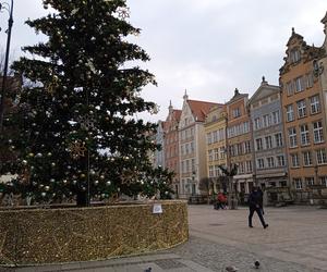 Zimowo i świątecznie w Gdańsku. Zobaczcie nasze zdjęcia!