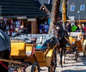 Najlepsze województwo w Polsce. Sztuczna inteligencja wybrała woj. małopolskie