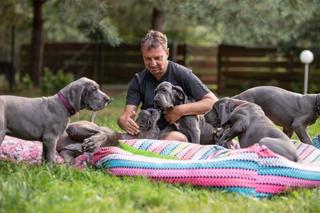 Szczeniaki Andrzeja Halickiego