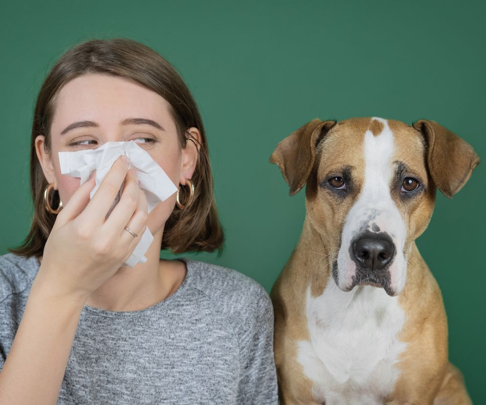 Jakie zwierzę jest najlepsze dla alergika? Bezpieczne zwierzę dla osób z alergią