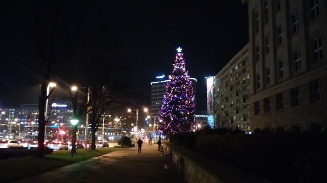 Choinki we Wrocławiu