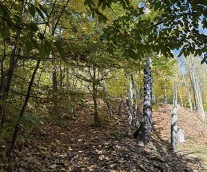 Szczyrk na jesiennych zdjęciach