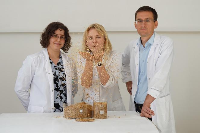 Szczecińscy naukowcy opatentowali sposób na zagospodarowanie łusek po paleniu kawy