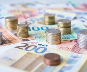 Kursy walut 20.10.2025. Złoty rośnie względem głównych walut