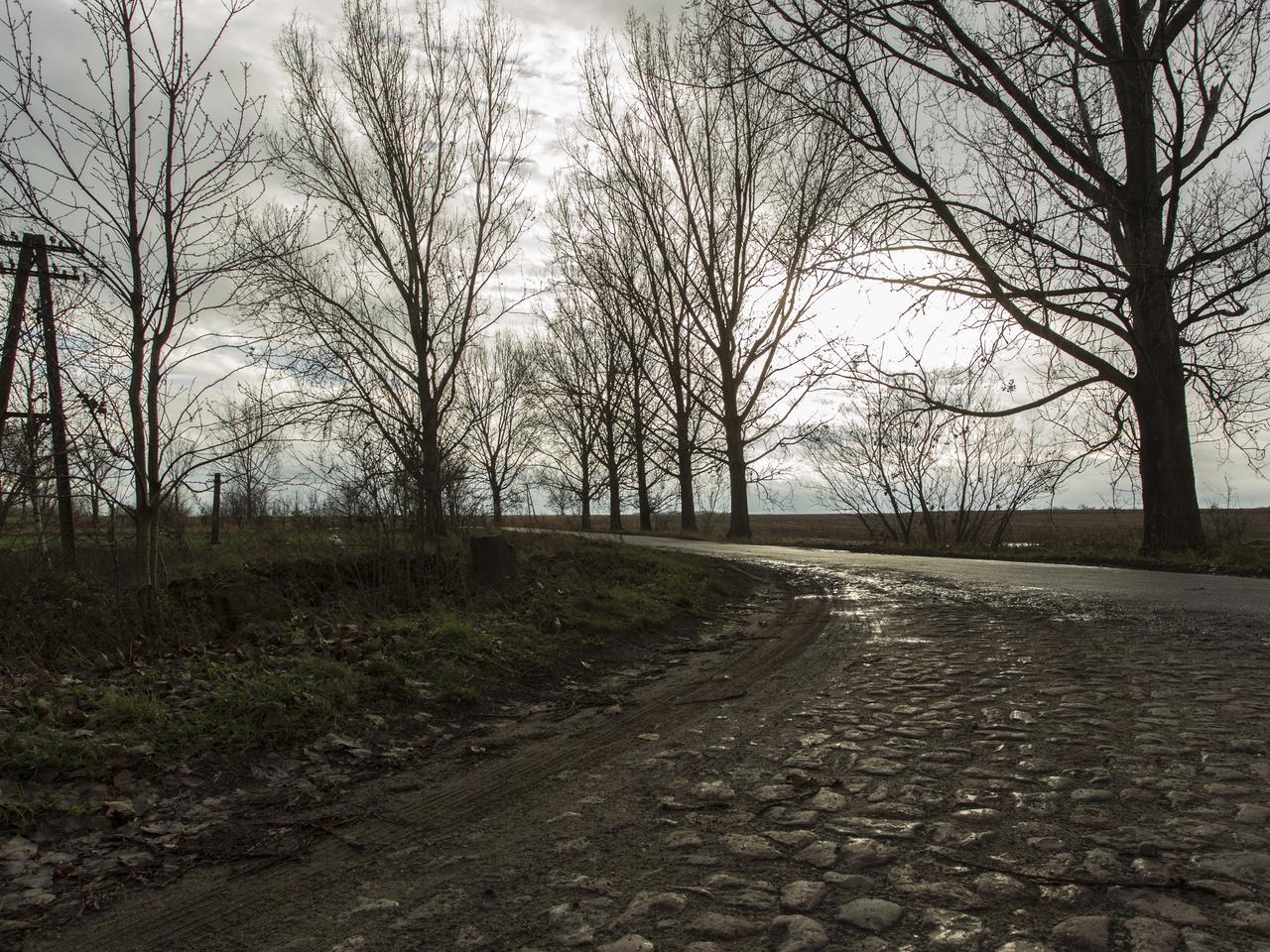 NAZI-ZOMBIE STRASZĄ MIESZKAŃCÓW.