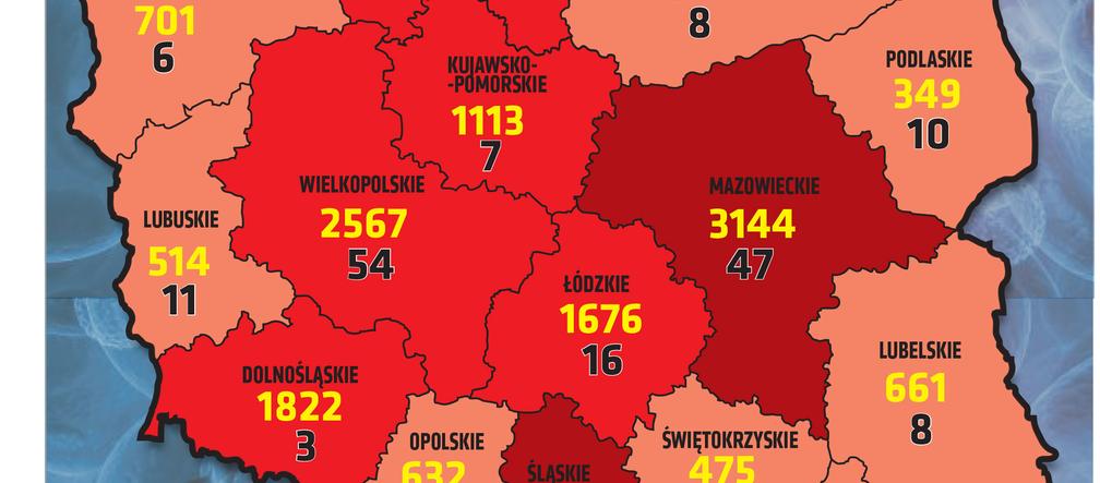 koronawirus polska wojewodztwa 11.04.2021