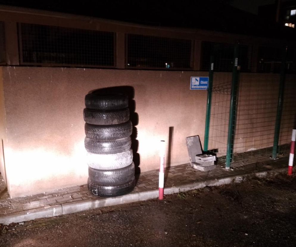 Fotopułapki zdają egzamin