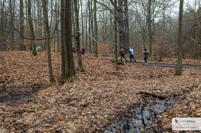 Biegacze City Trail Katowice dobiegli do mety sezonu