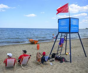 Sinice w Bałtyku