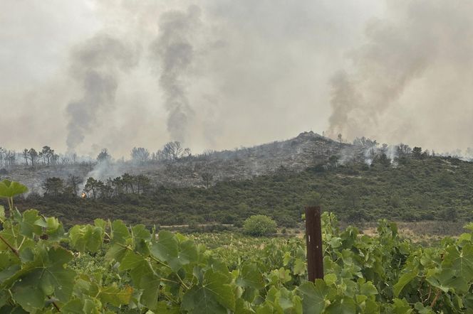 Ogromny pożar we Francji! Spłonął obszar wielki jak Paryż