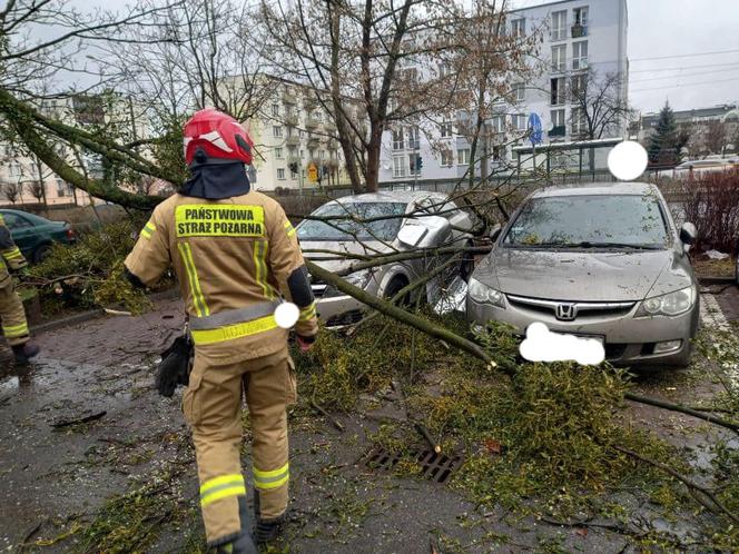 Drzewa na samochodach, zerwane dachy, brak prądu. Skutki wichury w Toruniu i okolicach