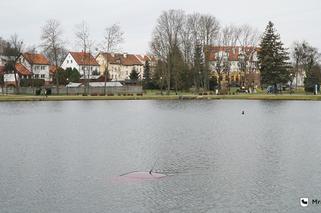 Mrągowo: Samochód wjechał do jeziora Magistrackiego