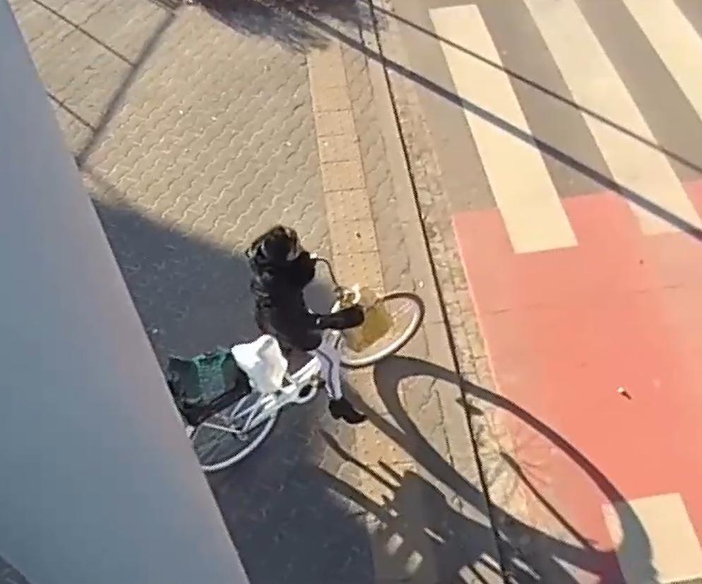 ​Rowerzystka zderzyła się z pieszą. Policja w Lesznie szuka kobiety na dwóch kółkach
