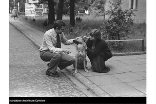 Tak nasi rodzice i dziadkowie spędzali wakacje w PRL-u. Co to były za czasy! Zobacz archiwalne zdjęcia [ZDJĘCIA]