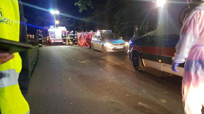 POTWORNY wypadek w Skale! Kierowca nie miał szans [ZDJĘCIA] 